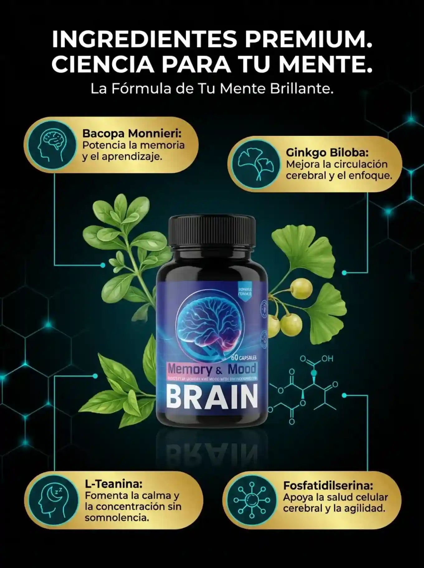BRAIN™ 60 cap – Vuelve a Descansar, moverte y  estar mentalmente ágil